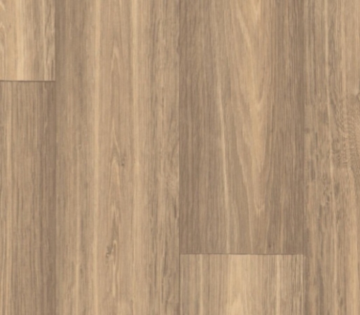 Elast 20 Classic-Kompakt 7001